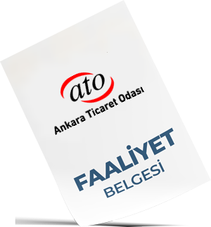 arşiv taşımacılığı